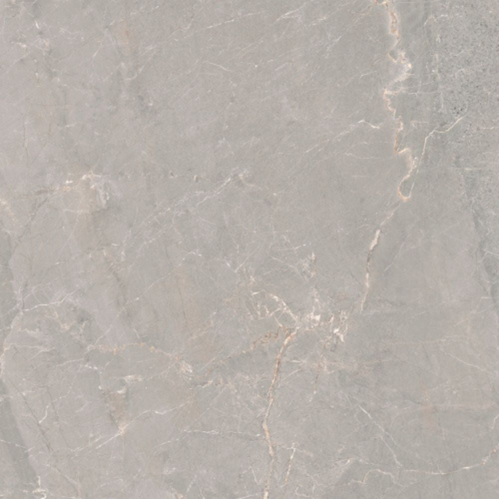 Pradeno Iron Natural 60 x 60cm Tile Swatch