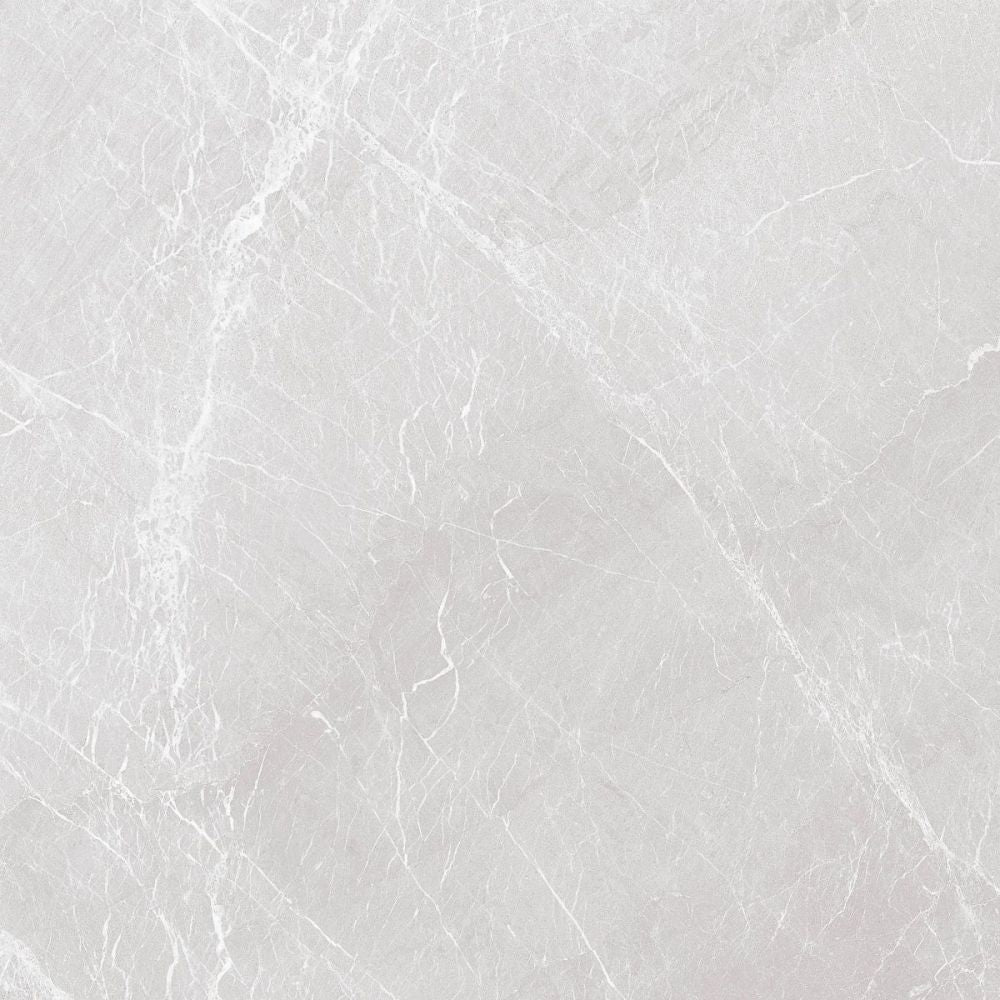 Stromboli Light Grey Polished 60 x 60cm Swatch